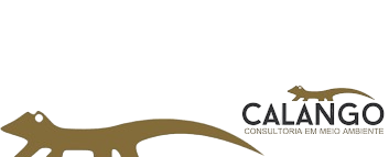 Calango